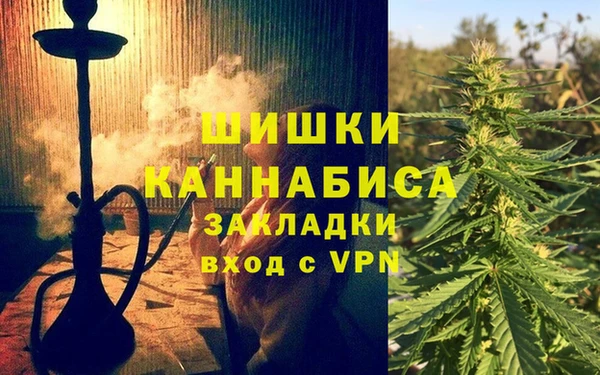 ГАЛЛЮЦИНОГЕННЫЕ ГРИБЫ Богданович